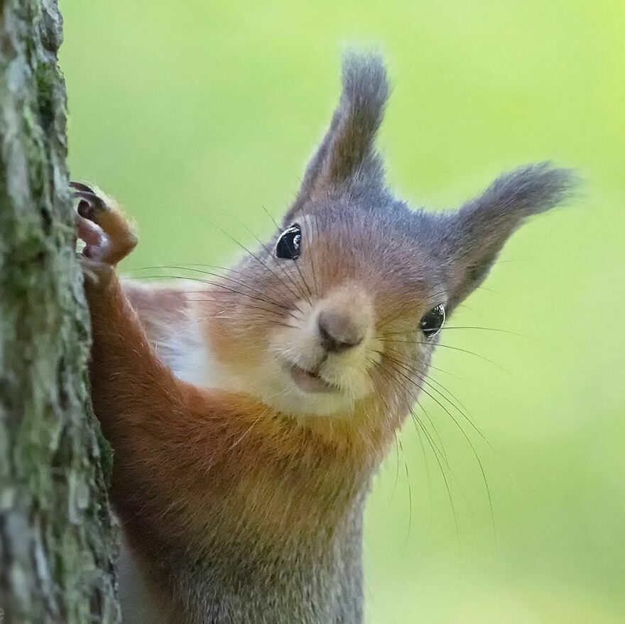 I Have Seen Things You Will Never See