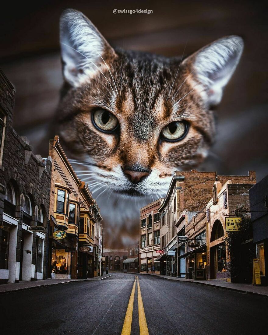 Catzilla Is Back In Town!
.
.
op @unsplash @jusdevoyage
..
#arizona #bisbee #catsofinstagram #catloversclub #catstagram #cats_of_instagram #catscatscats #catoftheday #cats_of_instworld #learnphotoshop #graphicroozane #visualart #surrealismworld #surrealart #surrealcollage #thephotoviers #thecreativers #thecreart #launchdsigns #xceptionaledits #theuniversalart #beyondsurreal #psduniverse #discoveredit #dailyart #diggin_art #entersurrealism #entersurrealism #enter_imaginations