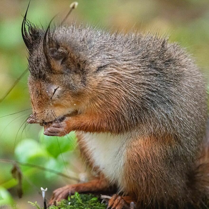 Pray For The World Today