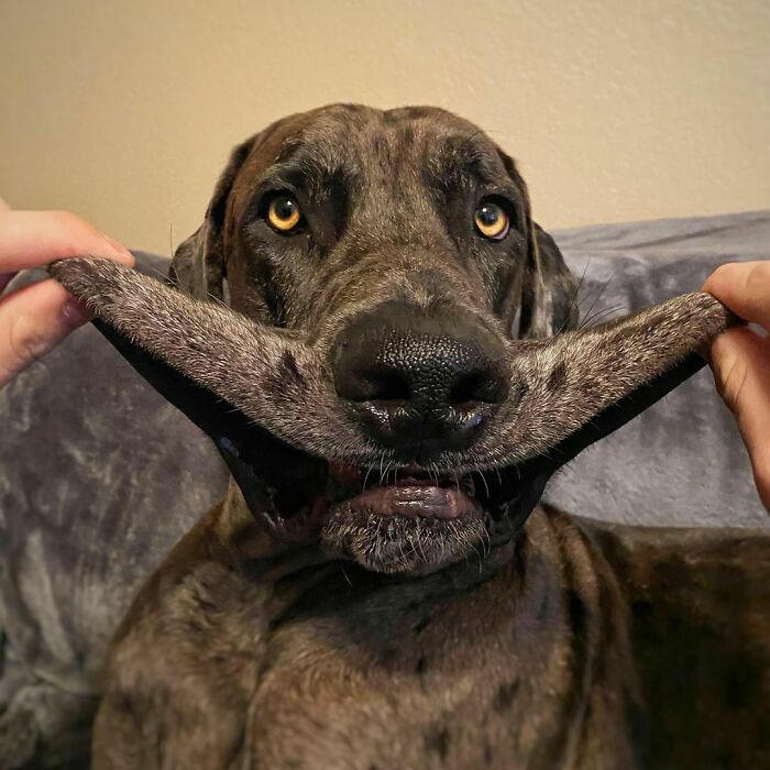 Hope This Smile Brightens Your Day And Wakes You Up