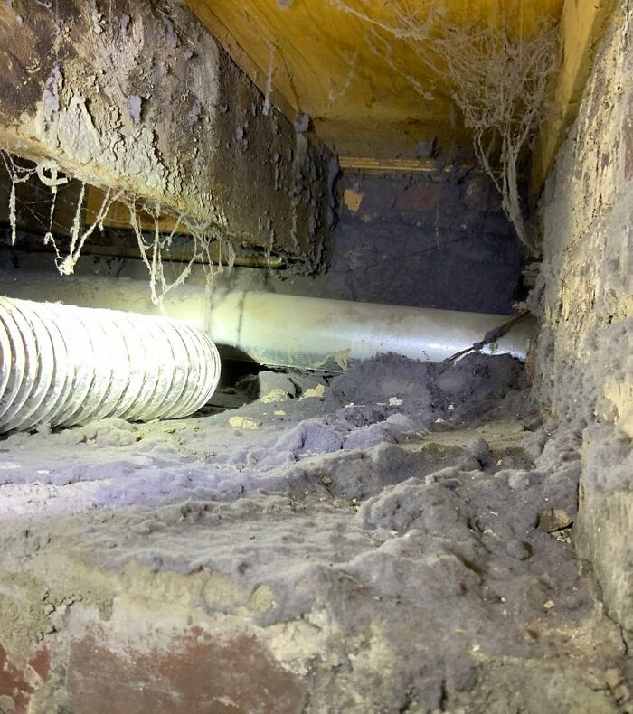 Found The Dryer Vent!