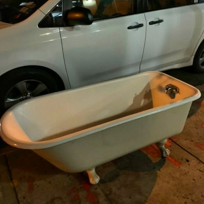 Stooper Called This, “The Stoop Of A Lifetime!” On Putnam Between Wyckoff And Cypress