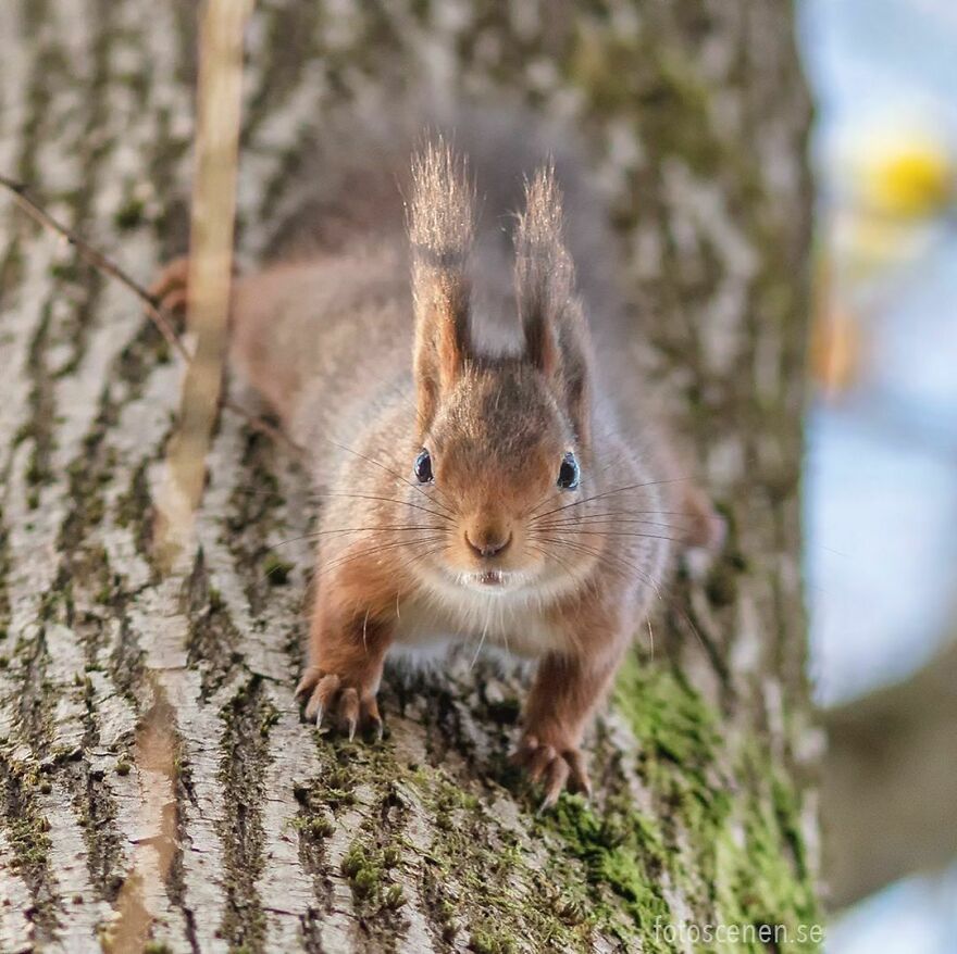 Stopped In His Tracks