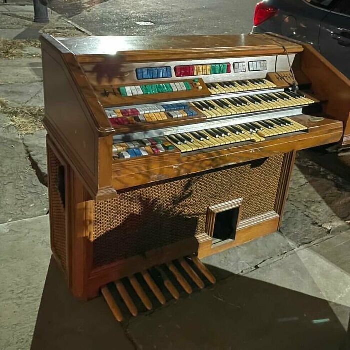 Guys, I Think This Has Been Out For Two Days! We Gotta Find This A Home! Washington Ave Between Dekalb And Lafayette