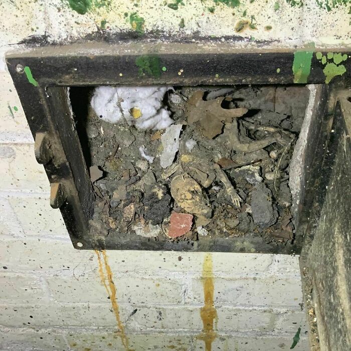 At Least This One Didn’t Come Running Out When I Opened The Door