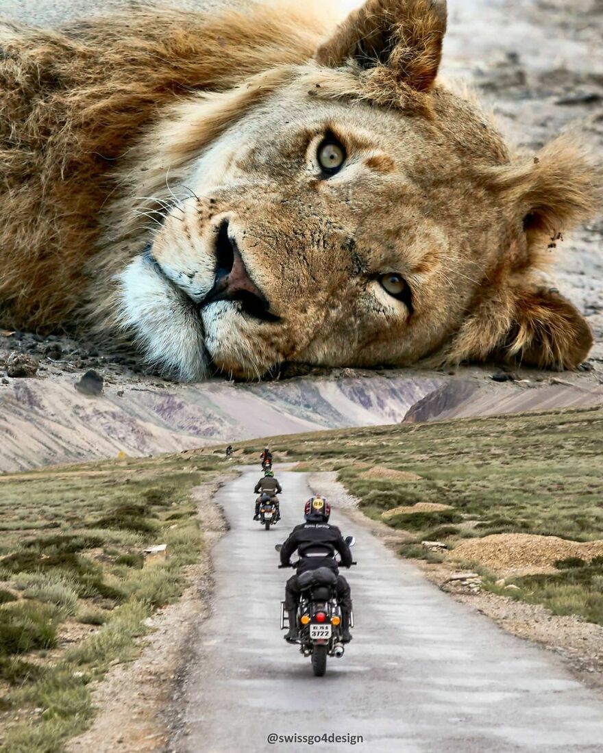 Learn The Rules Like A Pro, So You Can Break Them Like An Artist. Pablo Picasso
.
.
op @unsplash
.
.
#lovewatts #humalien #plexery #visualart #visualambassadors #visualspirits #artselect #surrealismworld #surrealart #gmofps #beyondsurreal #creativemobs #creartmood #creative_ace #edit_creatives #edit_mania #fxcreatives #graphicroozane #wildlife #theuniversalart #thephotoviers #thecreart #thecreativers #xceptionaledits #launchdsign #milliondollarvisuals #bleachfilm