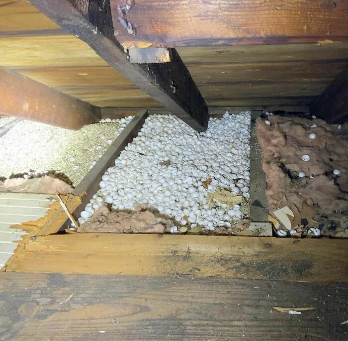 May I Have A Scoop Of What’s In Attic Rafter Bay 1 And Bay 2 And Bay 3