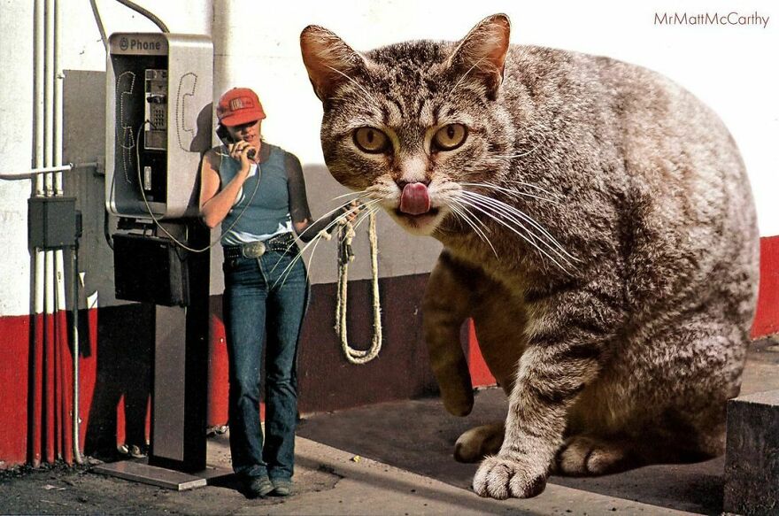 Artist Imagines The World With Giant Cats, And The Result Is Purrrfect