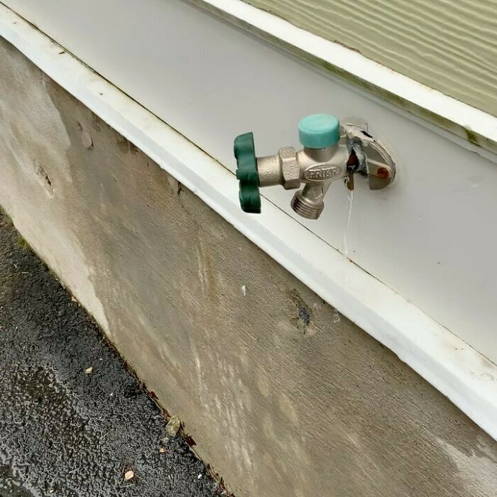 It’s Frost Proof, Not Freeze Proof!