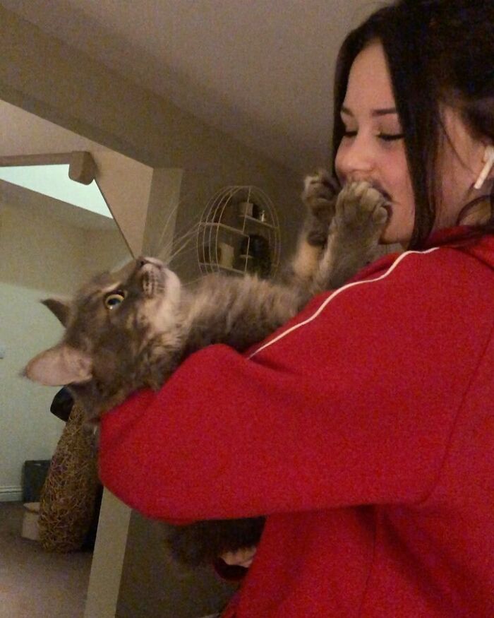 No I Don’t Want Kisses