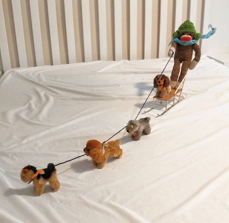 Covid-19-Entertainment-Husband-Sock-Monkey-Socky