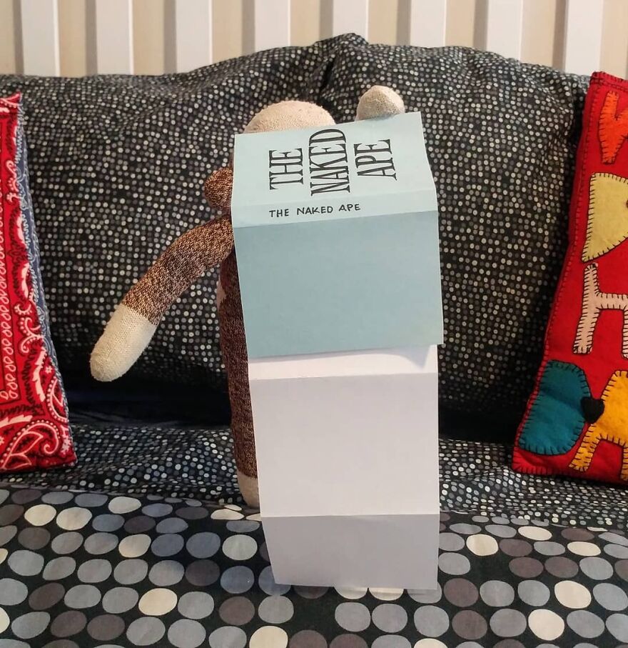 Covid-19-Entertainment-Husband-Sock-Monkey-Socky