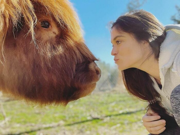 90-Rescue-Animals-Adri-Rachelle