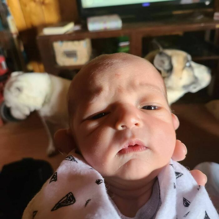 We Have A Little Old Man On Our Hands