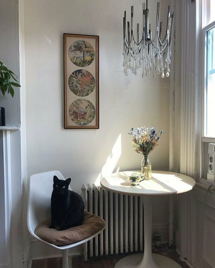 Stooping Success Story: “Table Base, Chair, Chandelier, And Even The Milk Bottle Vase, Coffee Cup, And Baby Money Tree To The Left Are All Stooping Successes!”