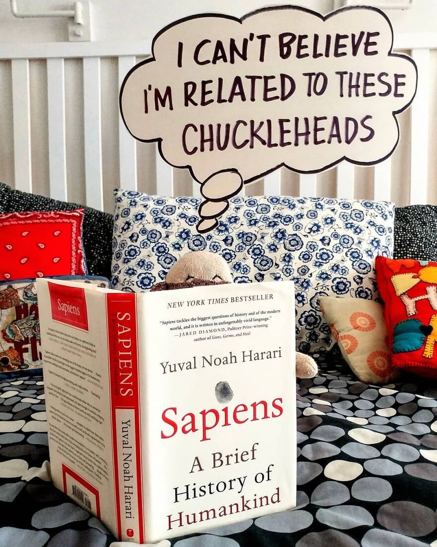 Covid-19-Entertainment-Husband-Sock-Monkey-Socky