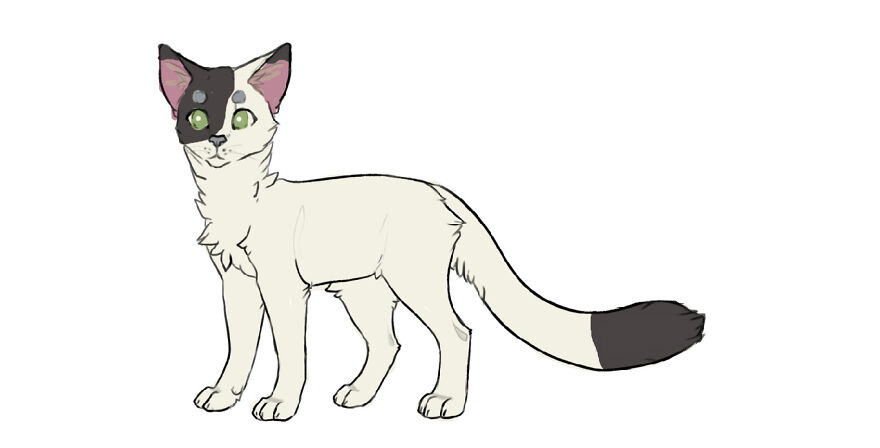 My Outdoor Furball, Cloudy. His Breed Is Unknown.