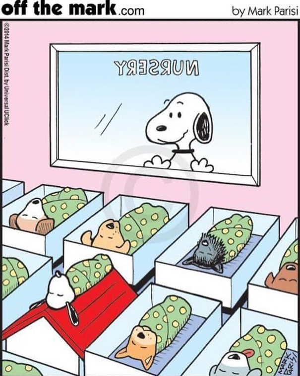 Comics By Artist Mark Parisi To Make You Laugh A Lot