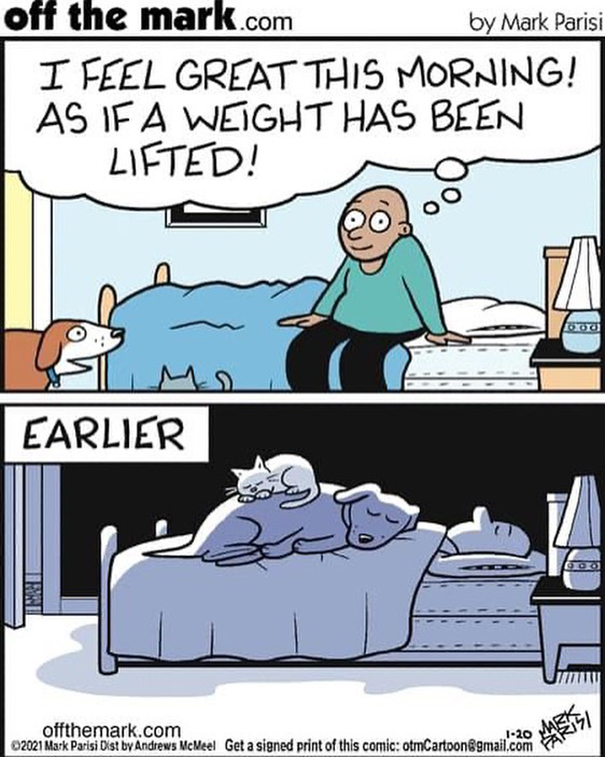 Comics By Artist Mark Parisi To Make You Laugh A Lot