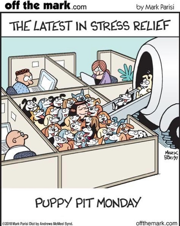 Comics By Artist Mark Parisi To Make You Laugh A Lot