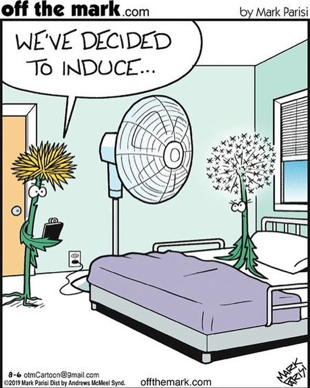 Comics By Artist Mark Parisi To Make You Laugh A Lot