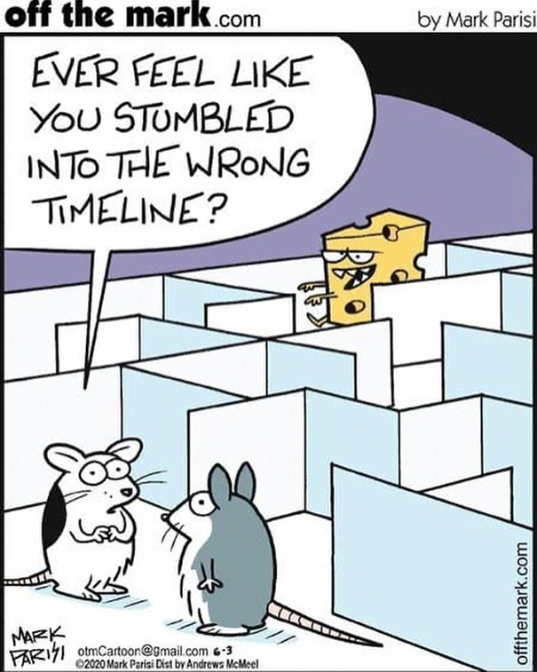 Comics By Artist Mark Parisi To Make You Laugh A Lot
