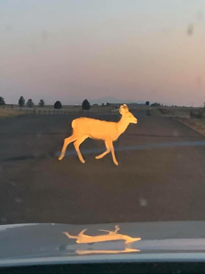 I Think My Lighting Is Off?