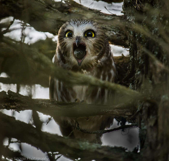 That Was Well Brought Up