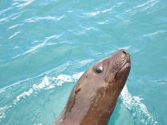 I'm So At Home In This Group