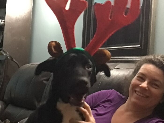 I Have Two Dogs But This Is One Out Of Two (This Is Jazzy, I’ll Be Posting One For My Other Dog Tillie Also