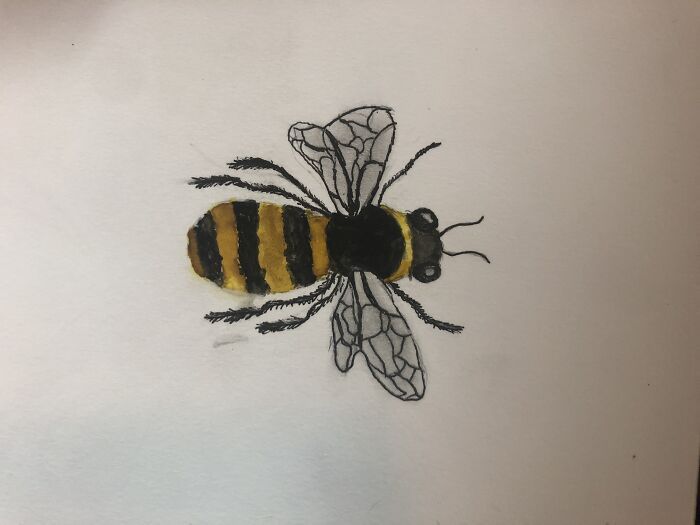 This Was My First Time Using Watercolors. It’s Simpler Than Most