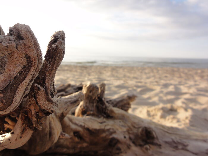 At The Baltic Sea, Poland
