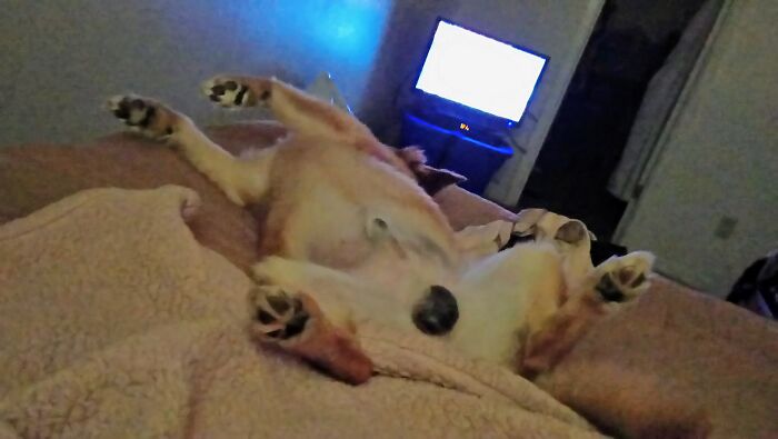 Woke Up And The First Things I Saw