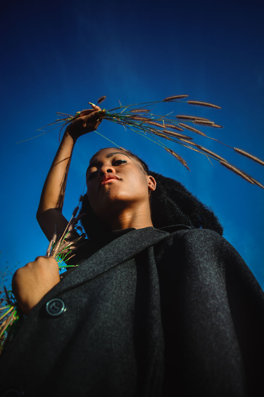 The Sky Is Falling The Sky Is Falling