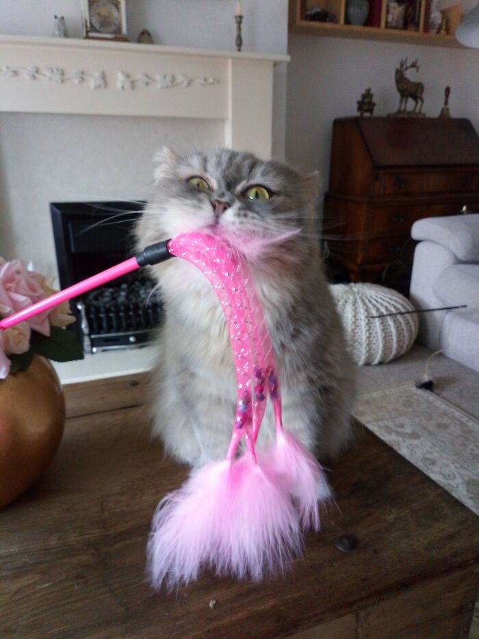 Crazy Lady P's Expressions And Overall Personality !....