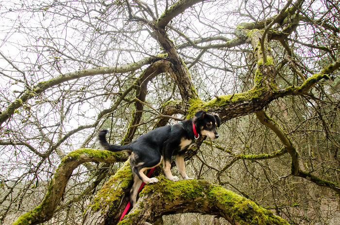 This One. Because It Shows Both Of Her Dreamy And Adventurous Sides