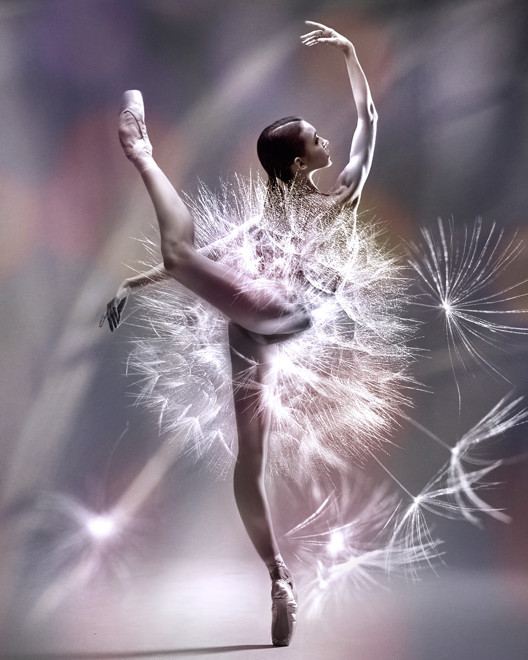Dance Of Flowers, In This Project I Combine Two Incarnations Of Grace And Beauty – Ballet And Flowers. (7 Pics)