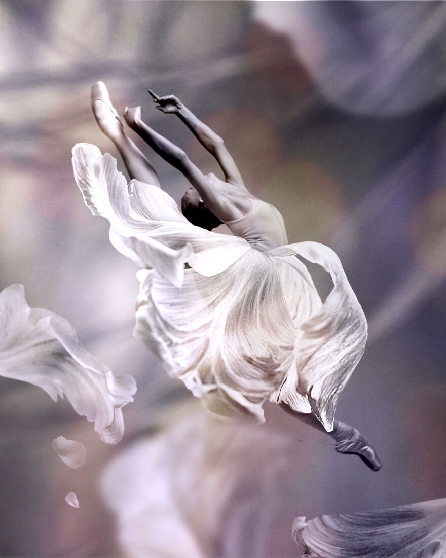 Dance Of Flowers, In This Project I Combine Two Incarnations Of Grace And Beauty - Ballet And Flowers. (7 Pics)