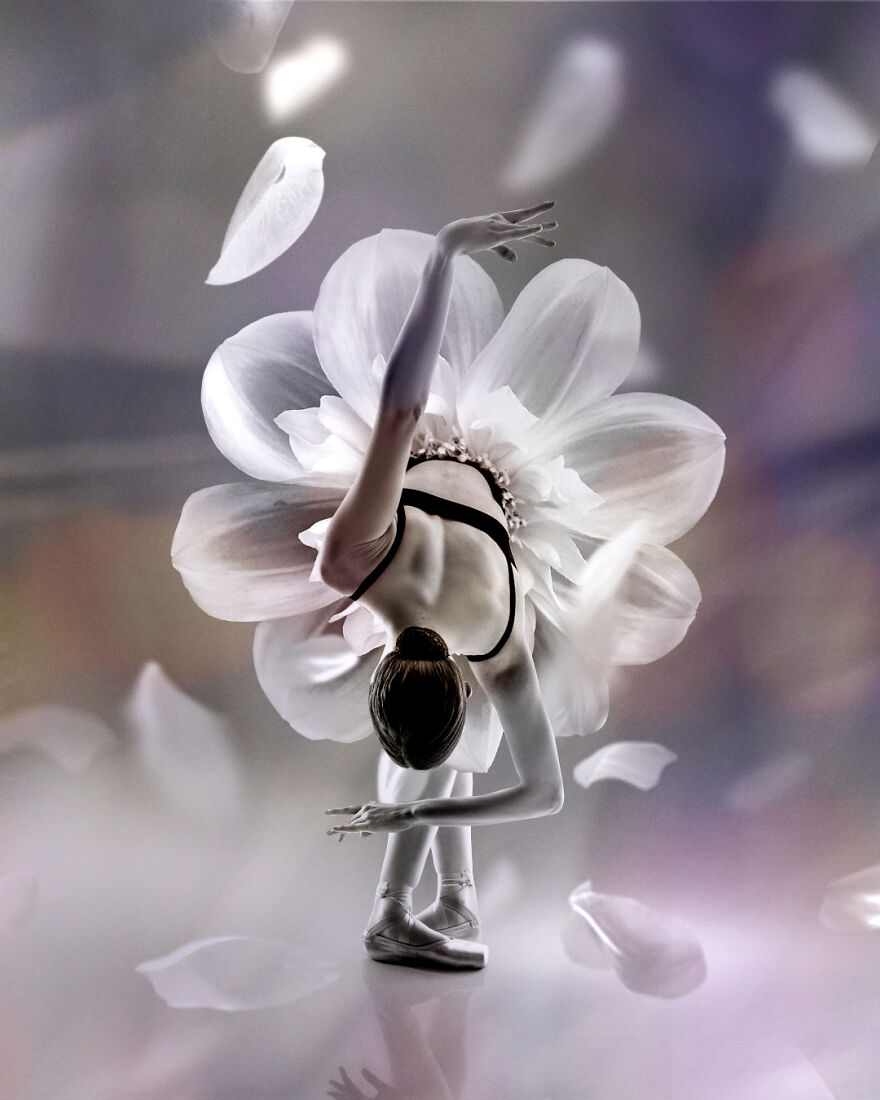 Dance Of Flowers, In This Project I Combine Two Incarnations Of Grace And Beauty - Ballet And Flowers. (7 Pics)