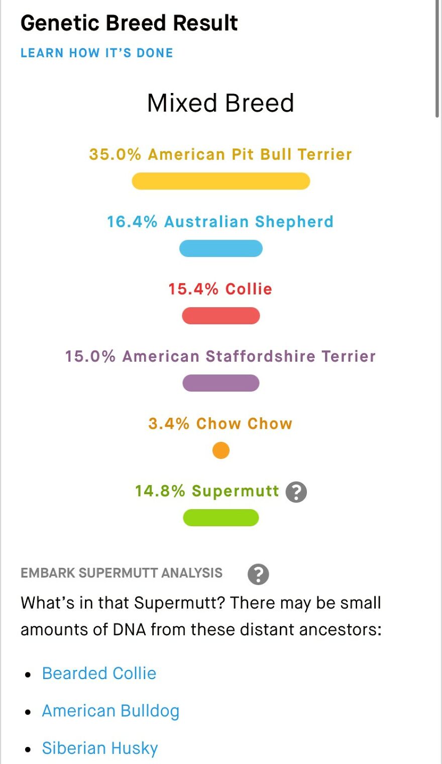 Dogs Reunite With Long Lost Littermate Through Popular Online Dog Dna Testing Provider (Dna Results Included) Dogs Reunite With Long Lost Littermate Through Popular Online Dog Dna Testing Provider (Dna Results Included)