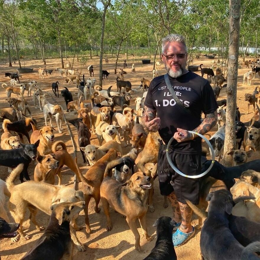 This Thai Animal Shelter Nurses Disabled Dogs Back To Life With The Help Of Vets And Wheelchairs This Thai Animal Shelter Nurses Disabled Dogs Back To Life With The Help Of Vets And Wheelchairs