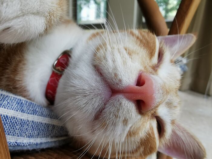 Charlieeee @georgie.saurus