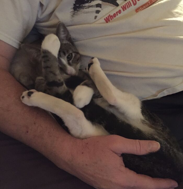 Dad’s Watching A Scary Movie. I Can’t Look.