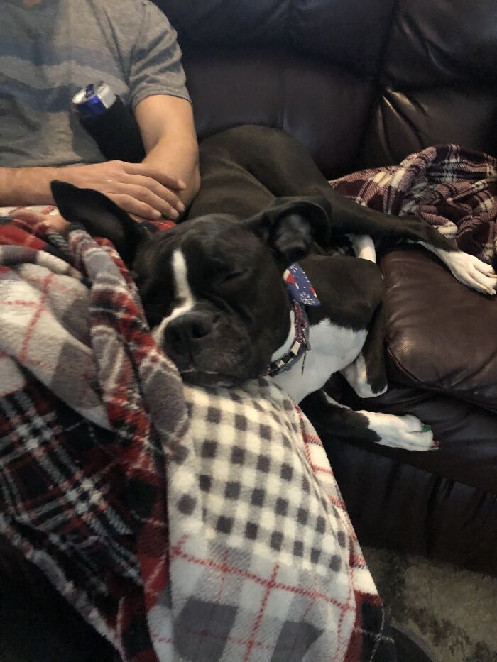 This Couch Isn’t Big Enough!