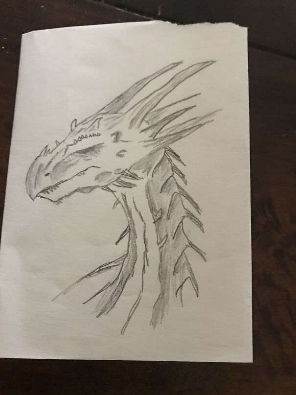 Very Detailed Icewings