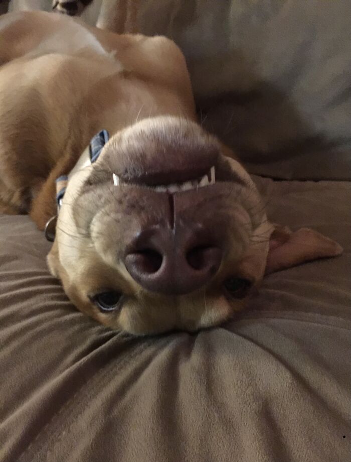 Always Upside Down