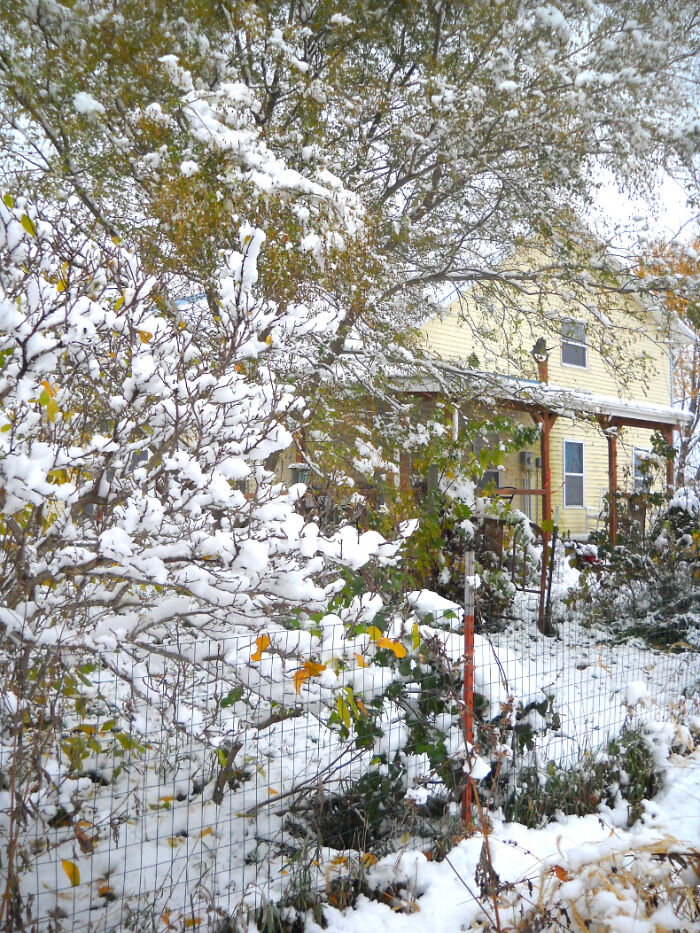 Our Yellow Home On The Prairie