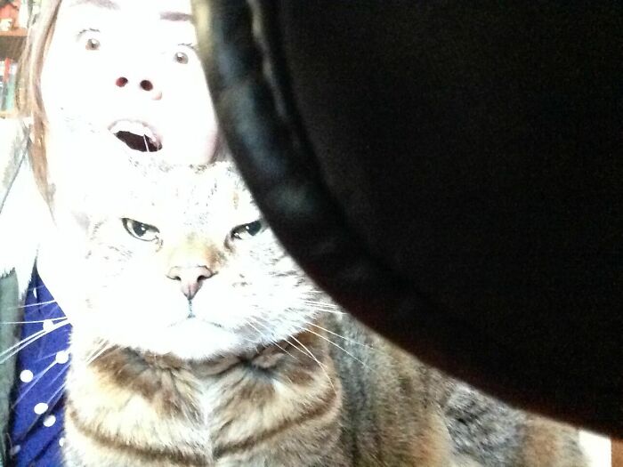 Rip Buffy (5 Years Ago) We Took The Best Photos. This Was Our Alien Abduction Moment.