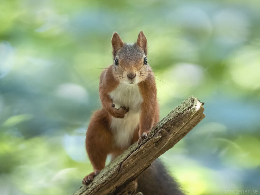 Can't Belive His Eyes