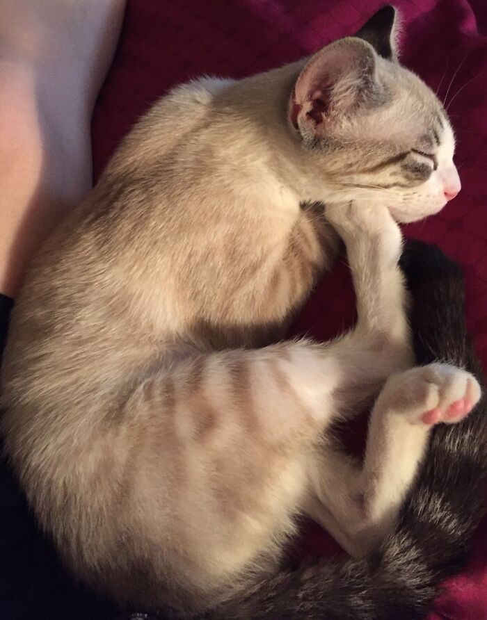 Don’t Bother Me, I’m Thinkin’